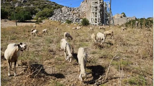 ANTALYA’DA PATARA