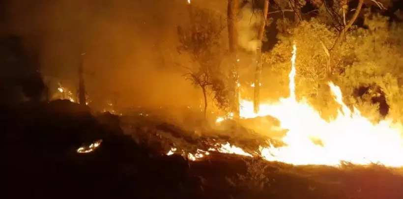 ANTALYA KEMER’DE YAKILAN KAMP ATEŞİ ORMAN YANGININA DÖNÜŞTÜ