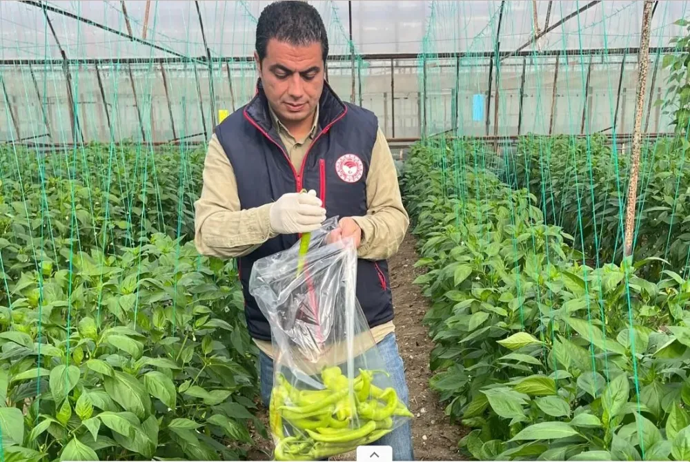 GÜVENİLİR GIDA İÇİN.. DEMRE VE AKSU