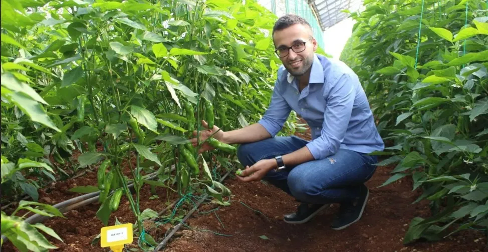 ANTALYA’DAKİ ‘TOHUMCULUK SEKTÖRÜ’ DÜNYA DEVLERİYLE YARIŞIYOR
