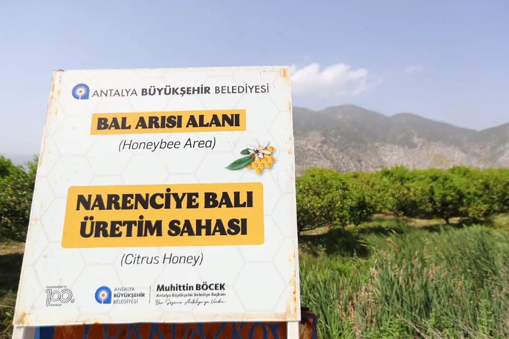 NARENCİYE BALI KORUMA ALTINDA