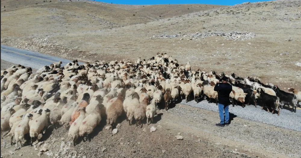 ÇANDIR.. ‘TEKE YÖRESİ KEÇİLERİNİ KAYBETTİ ÇÜNKÜ ÇOBAN OLMADAN KEÇİ OLMAZ’