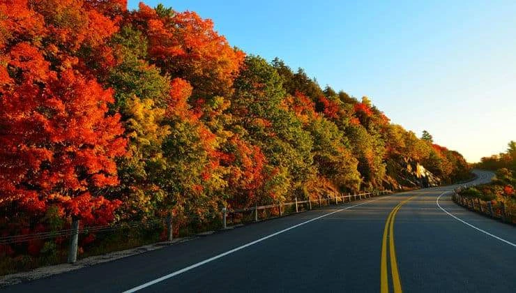 Eski nişanlısını öldürdü, 300 kilometre bagajda taşıdı