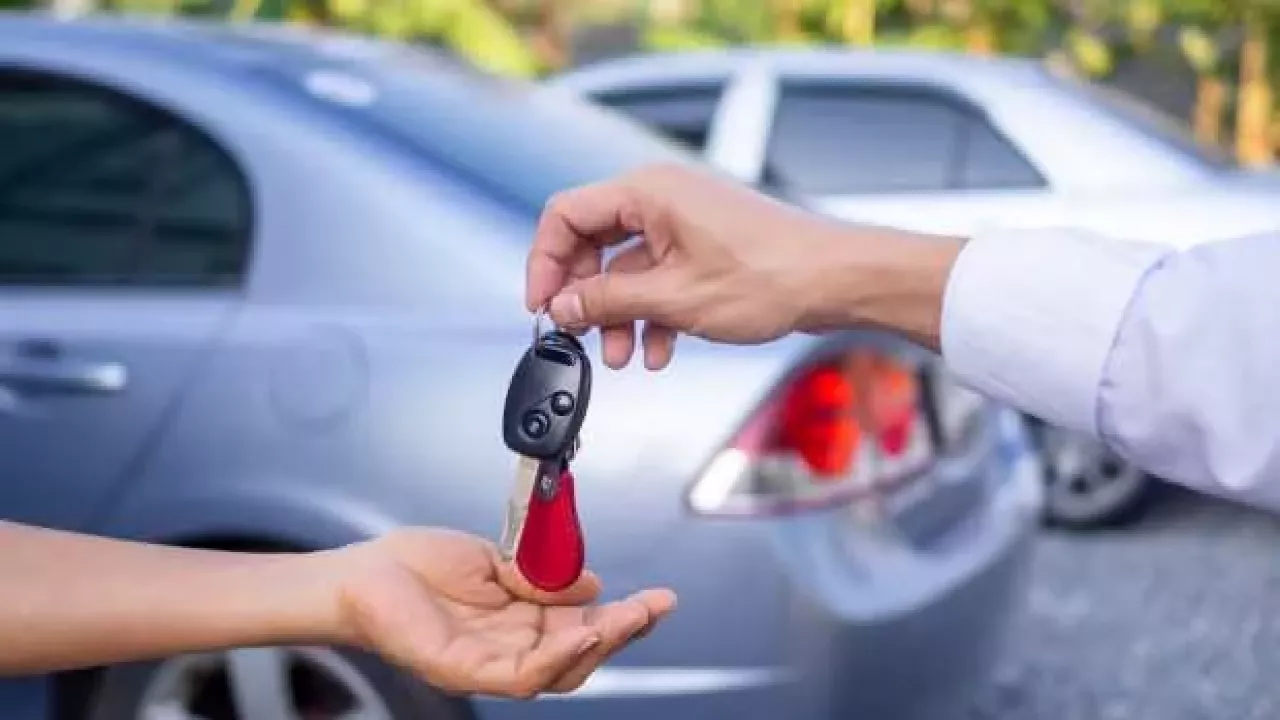 2 BİN KİŞİLİK VURGUNDA HÜCRE TİPİ ÖRGÜTLENME.. DEŞİFRE OLDULAR