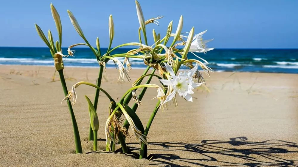 DİLER’İN YERİNE İŞBİLEN ATANDI